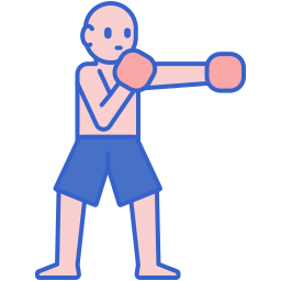 boxe Ícone