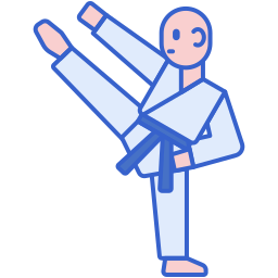 Taekwondo icon