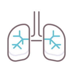 Lungs icon