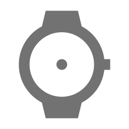 Wristwatch icon