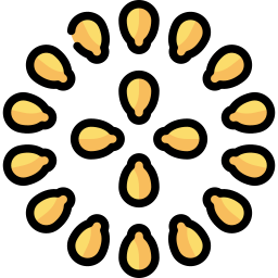 Sesame icon