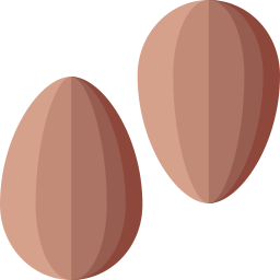 Almond icon