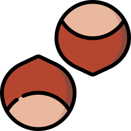 Hazelnut icon