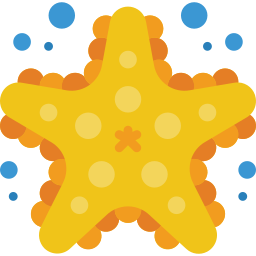 Starfish icon