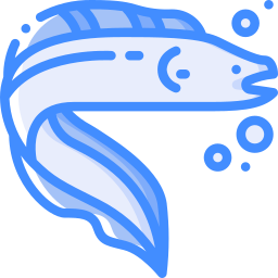 Fish icon