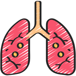 système respiratoire Icône