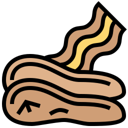 Bacon icon