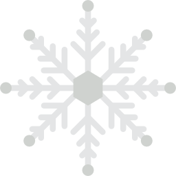 flocon de neige Icône