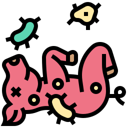 Pig icon