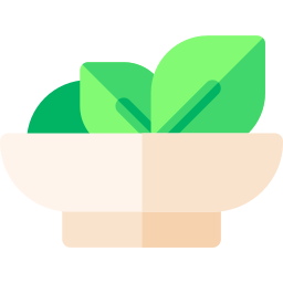 Salad icon