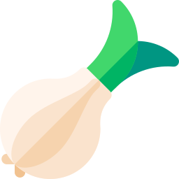 Onion icon