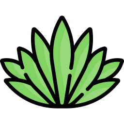 Agave icon