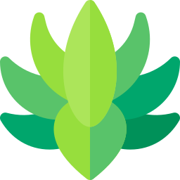 agave icon