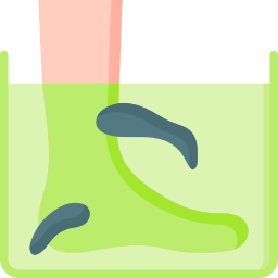 blutegeltherapie icon