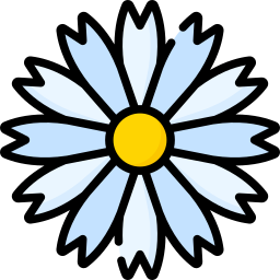 Chamomile icon