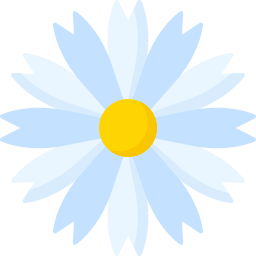 Chamomile icon