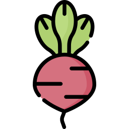 Radish icon