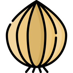 Onion icon