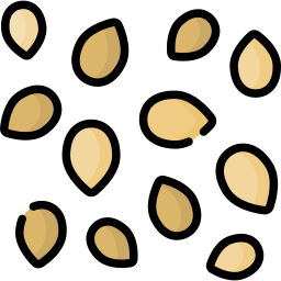 Sesame icon