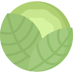 Cabbage icon