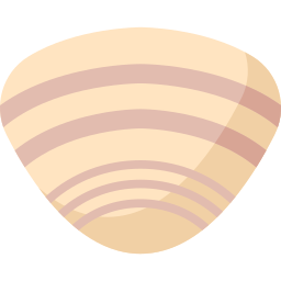 Clam icon