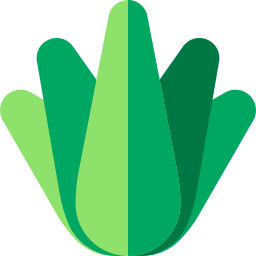 agave icon