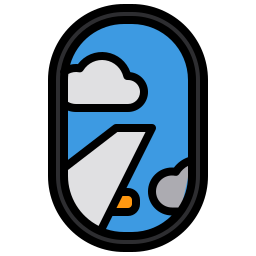 Window icon