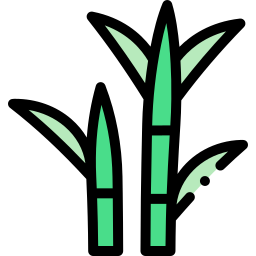 Sugar cane icon