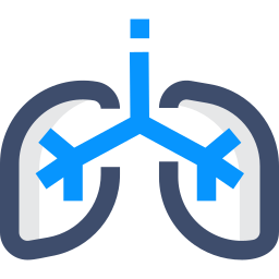 Lungs icon