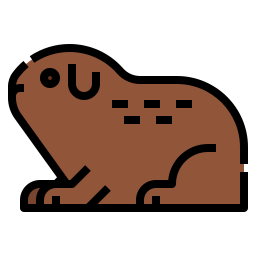 Guinea pig icon