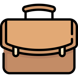 portfolio icon