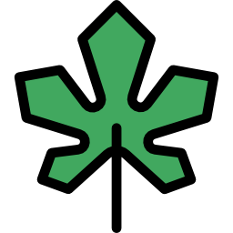 Maple leaf icon