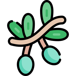 olive icon