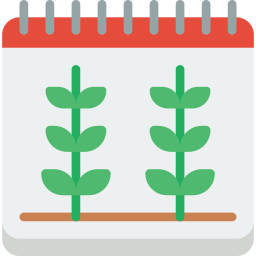 Date icon