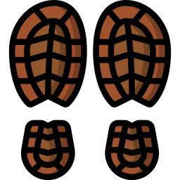 Footprints icon