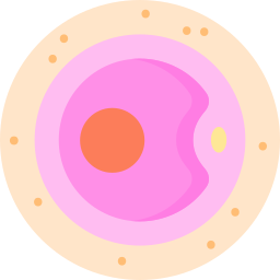 ovule Icône