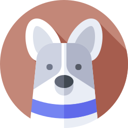 Border collie icon