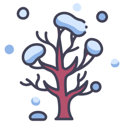 winterbaum icon