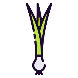 Spring onion icon