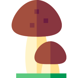 Mushrooms icon