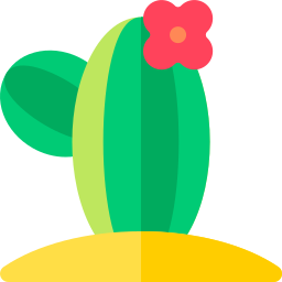 cactus icoon