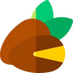 Argan icon