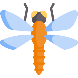 Dragonfly icon