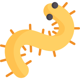 Centipede icon