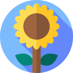 sonnenblume icon