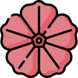 blume icon