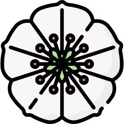 Flower icon