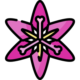 blume icon