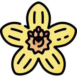 blume icon