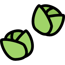 Brussels sprouts icon